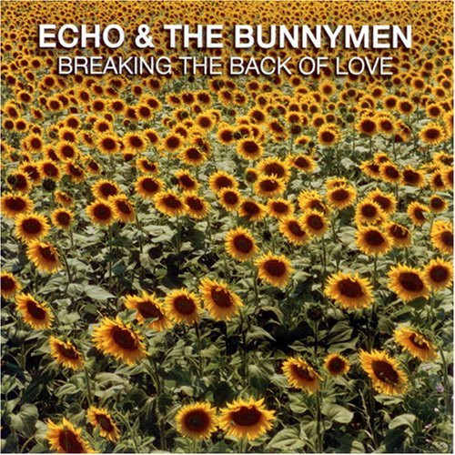 Echo & The Bunnymen